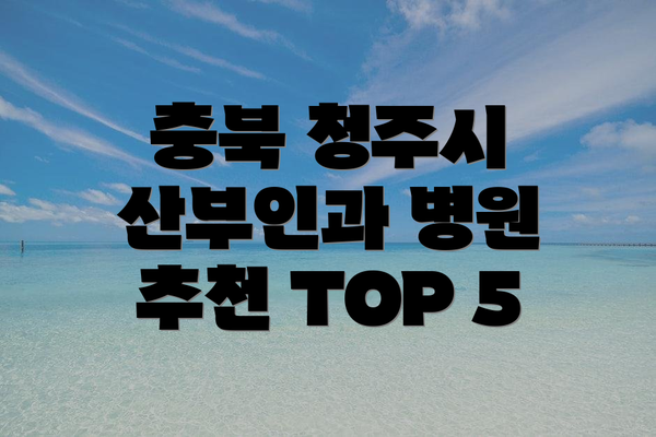 충북 청주시 산부인과 병원 추천 TOP 5