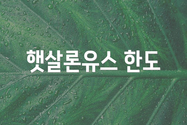 햇살론유스 한도