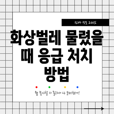 화상벌레 물렸을 때 응급 처치 방법