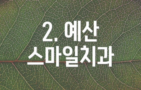 2. 예산 스마일치과