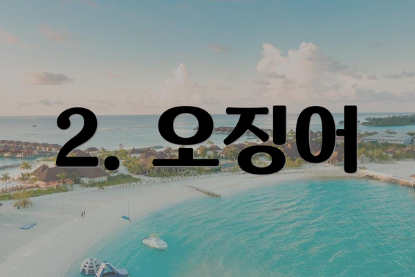 2. 오징어