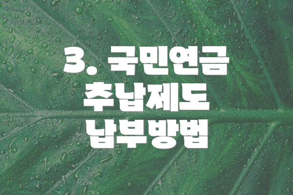 3. 국민연금 추납제도 납부방법