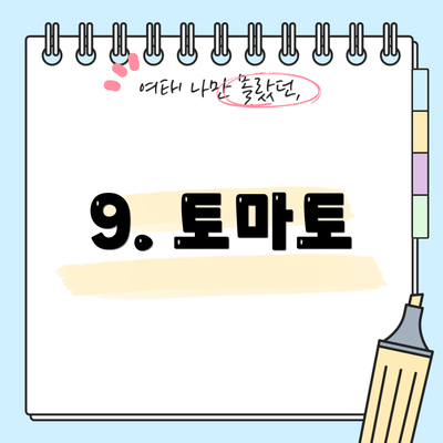 9. 토마토