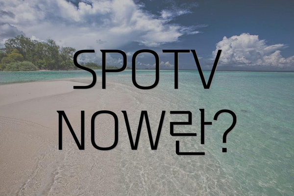 SPOTV NOW란?