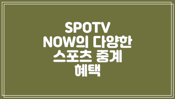 SPOTV NOW의 다양한 스포츠 중계 혜택