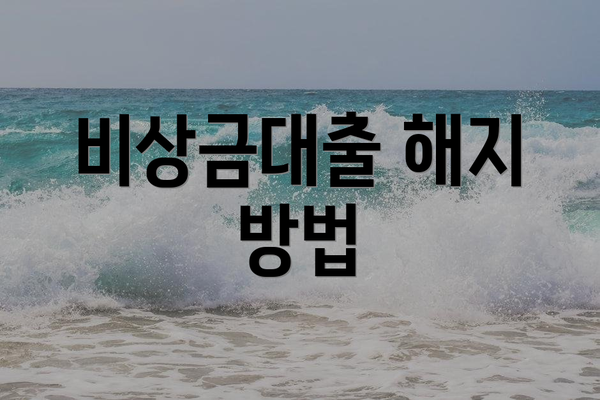비상금대출 해지 방법