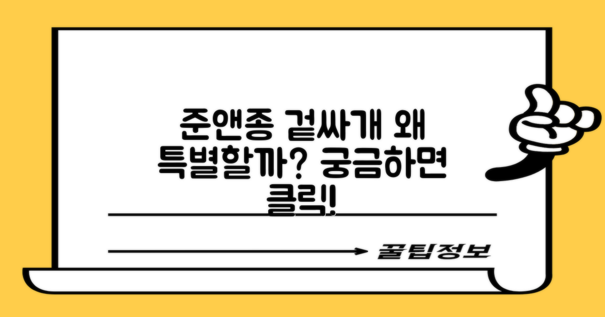 준앤종 겉싸개, 왜 특별할까?