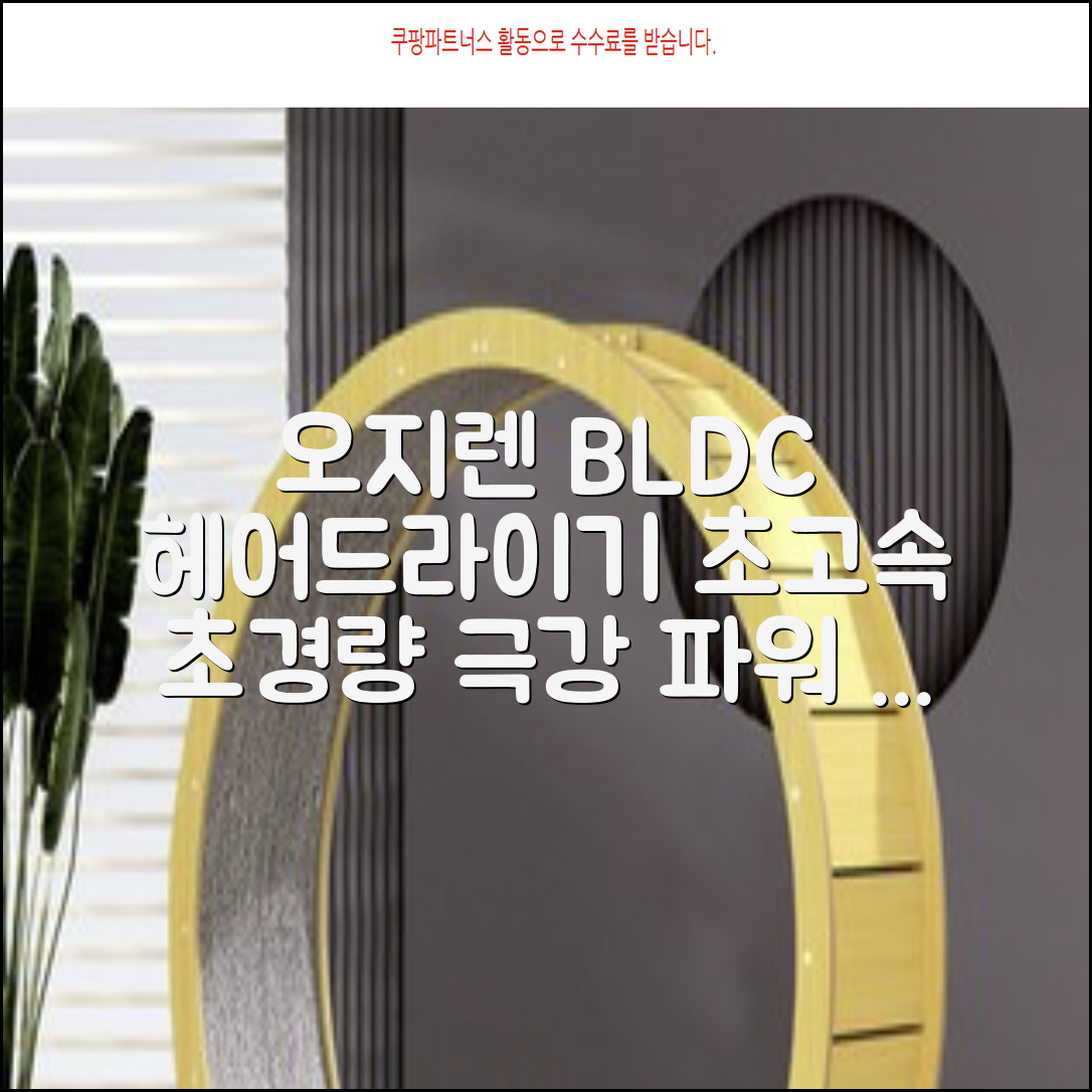 오지렌 초고속 고출력 초경량 음이온 BLDC 모터 헤어 드라이기, 화이트 추천 리뷰