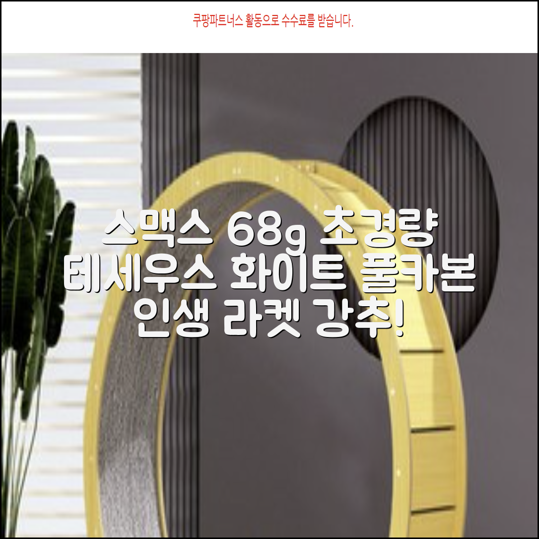 스맥스코리아 풀카본 초경량 배드민턴 라켓 68g, 테세우스 화이트, 1개 추천 리뷰
