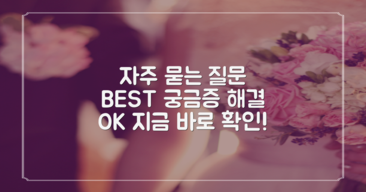 자주 묻는 질문