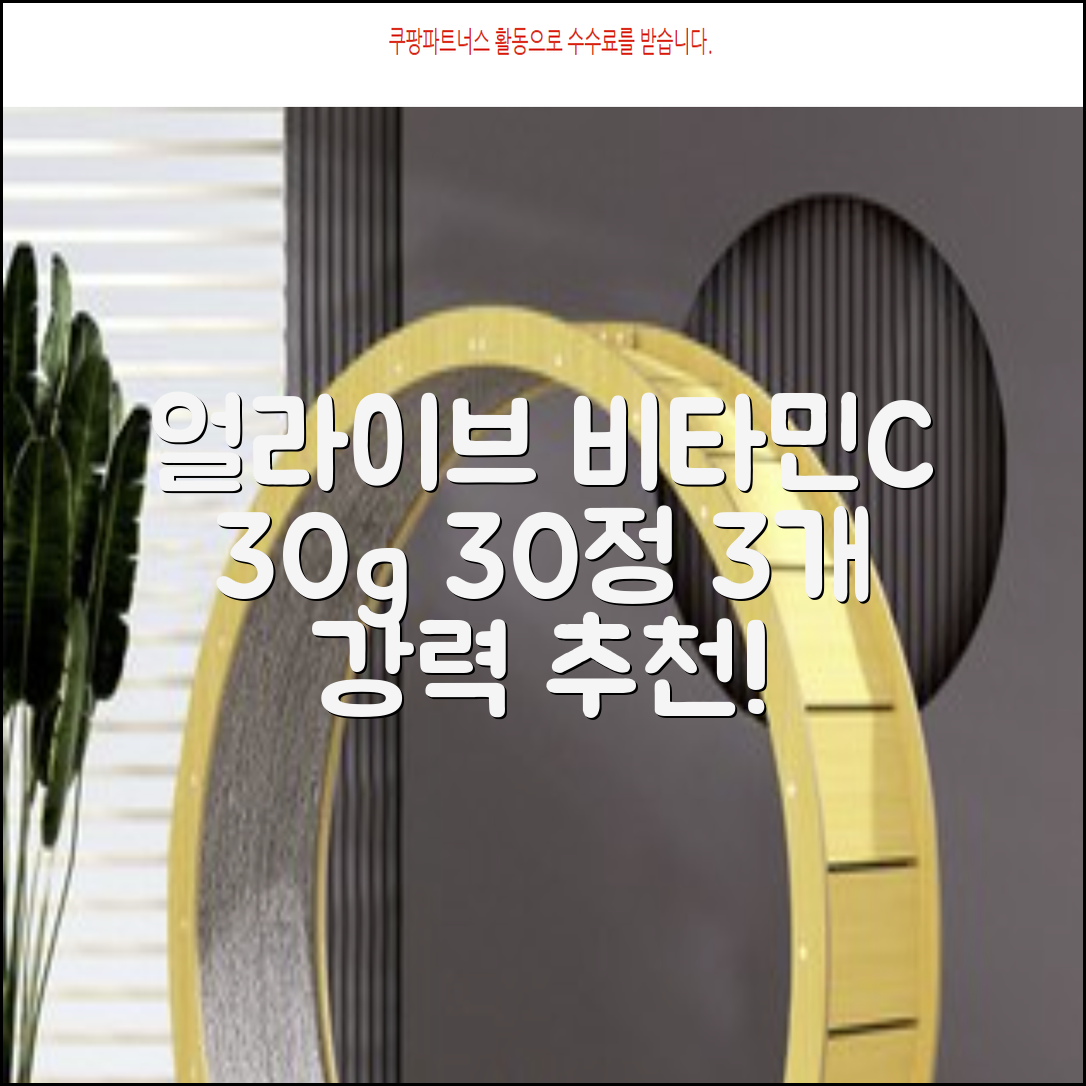 얼라이브 지속성 비타민c 30g, 30정, 3개 추천 리뷰
