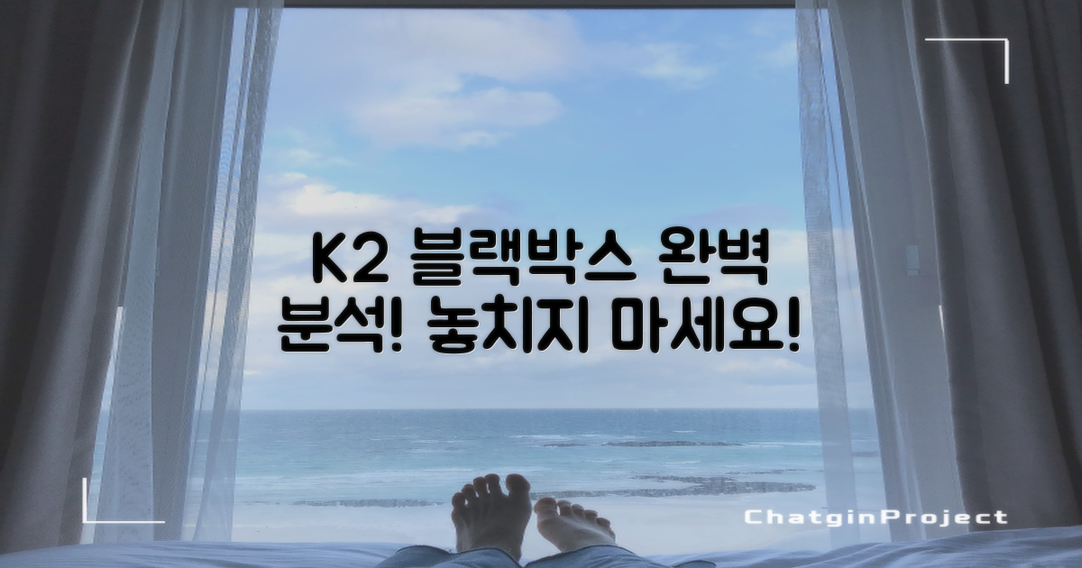 K2 블랙박스, 완벽 분석!