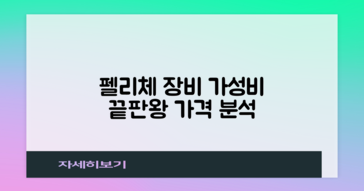 FELICE 장비, 가격 대비 성능 분석