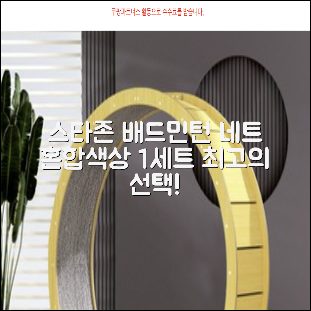스타존 배드민턴 그물 네트 + 가방, 혼합색상, 1세트 추천 리뷰