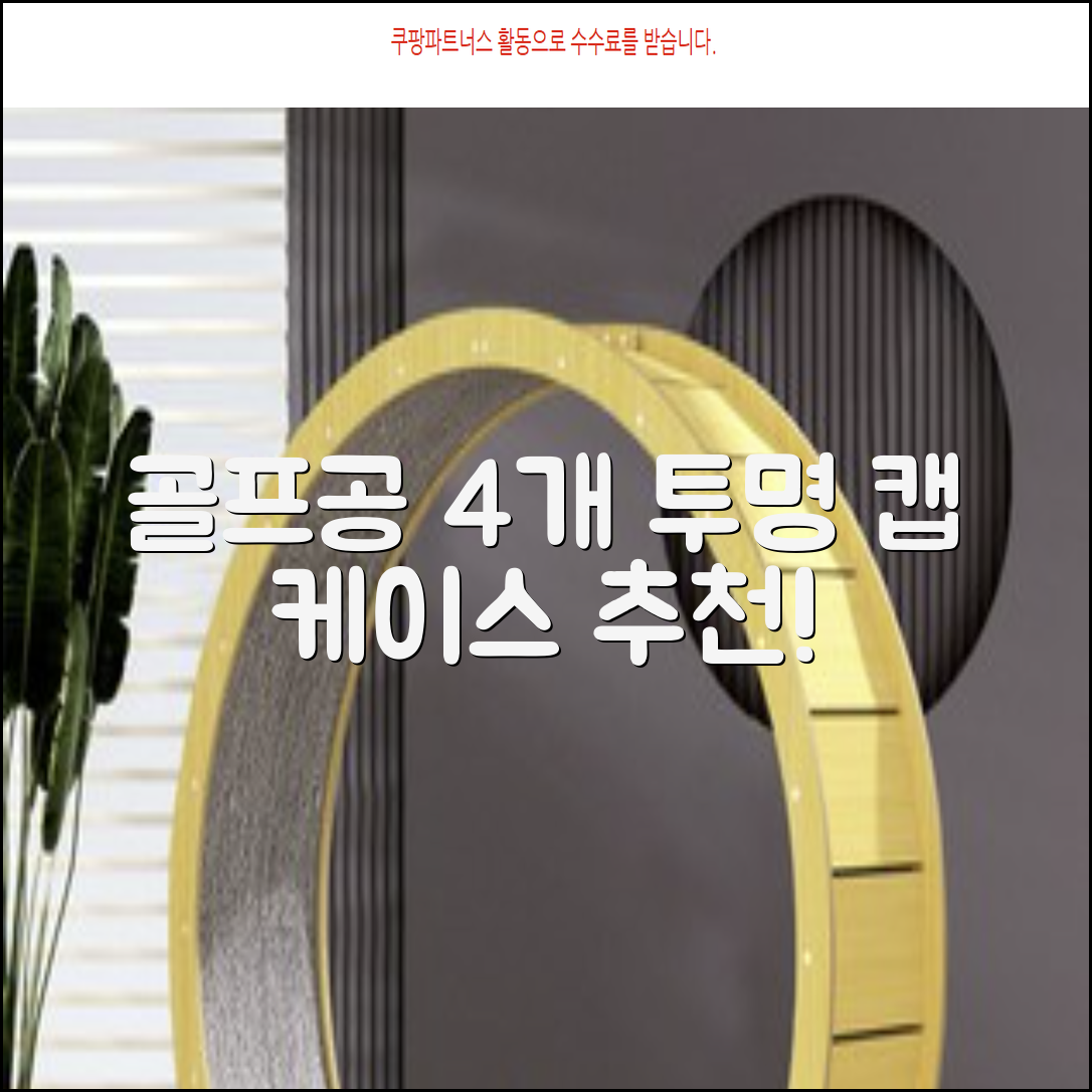 캡 골프 운반 케이스 투명 플라스틱 튜브 휴대용 볼 케이스 골프 정리함이 있는 4Pcs 골프 배럴 투명 튜브, 4개 추천 리뷰